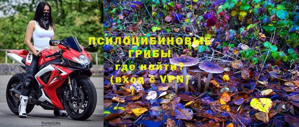 гидра Алзамай