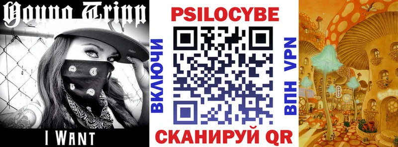 KRAKEN Можга Галлюциногенные грибы GOLDEN TEACHER что такое