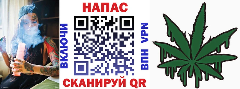 мега   Можга  Бошки марихуана сатива 